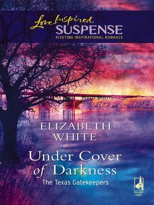cover image of Under Cover Of Darkness